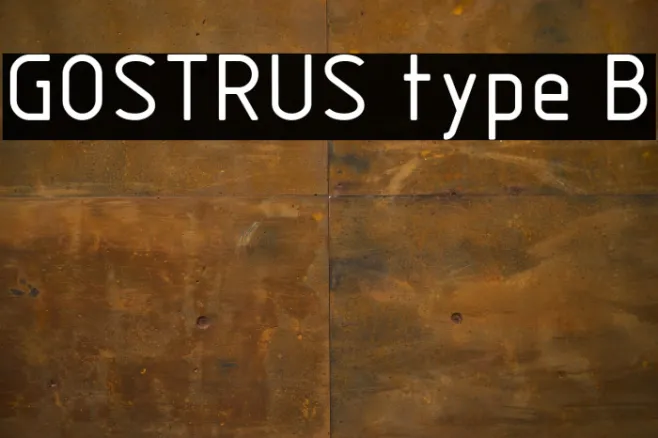 GOSTRUS type B Example 2