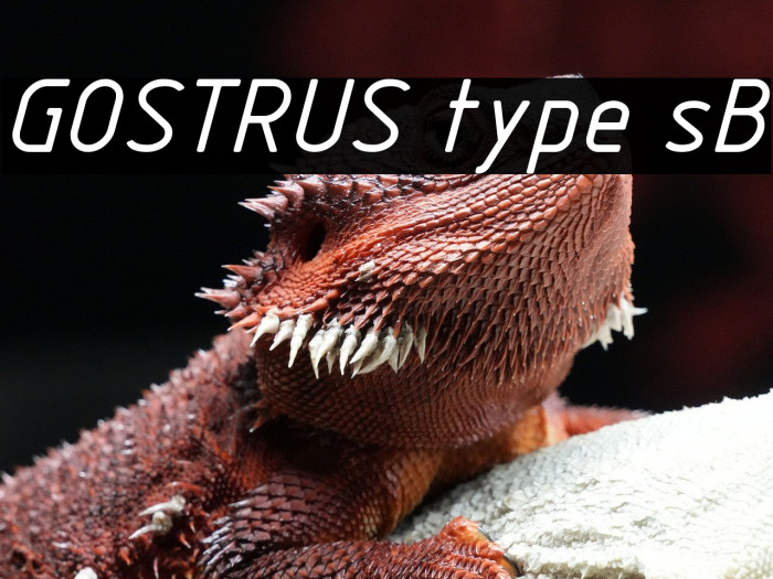 GOSTRUS type sB Example 2