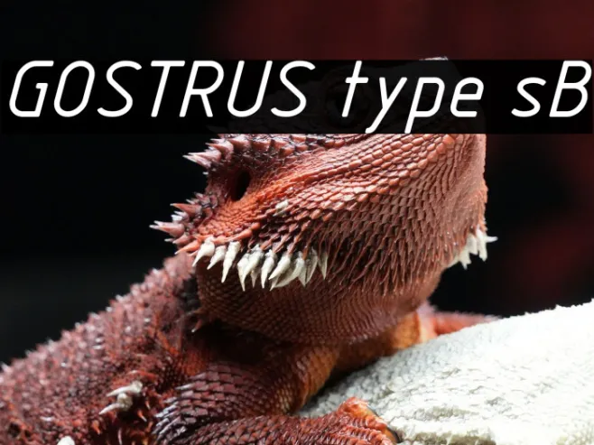 GOSTRUS type sB Example 2