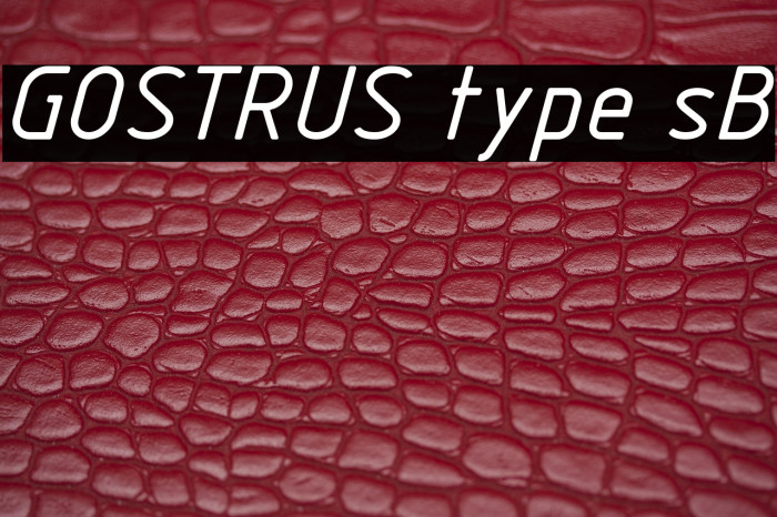 GOSTRUS type sB Example 3