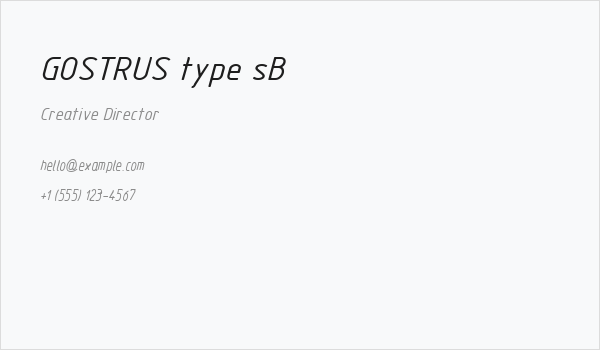 GOSTRUS type sB Business Card