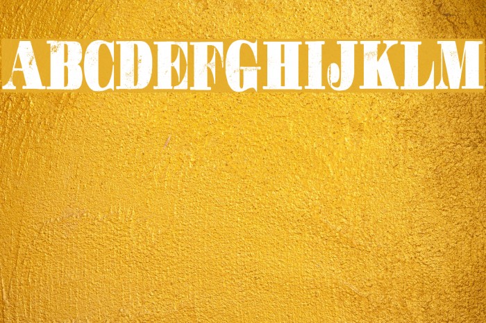 GOTCHA PERSONAL USE Font examples