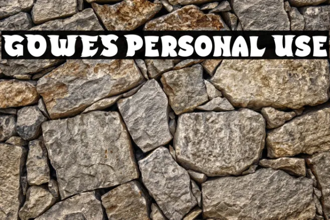 GOWES Personal Use Example 1
