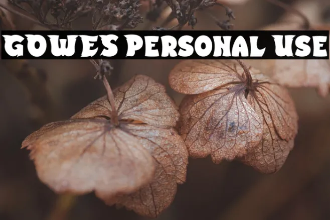 GOWES Personal Use Example 3