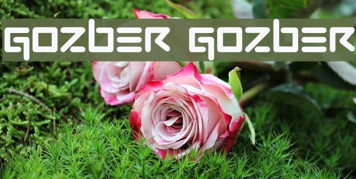 GOZBER GOZBER Example 2
