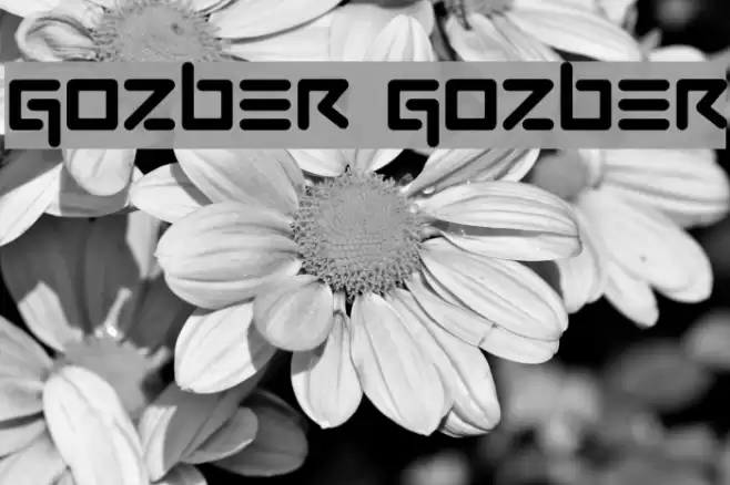 GOZBER GOZBER Font examples