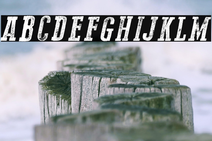 Go 2 Old Western Italic Example 1