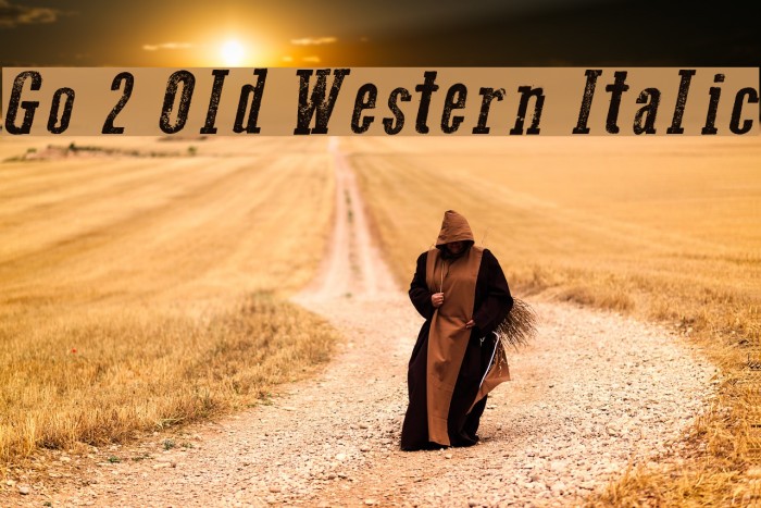 Go 2 Old Western Italic Font examples
