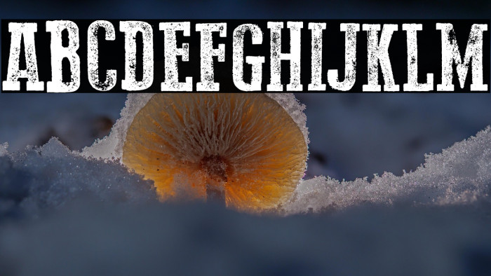 Go 2 Old Western Example 2