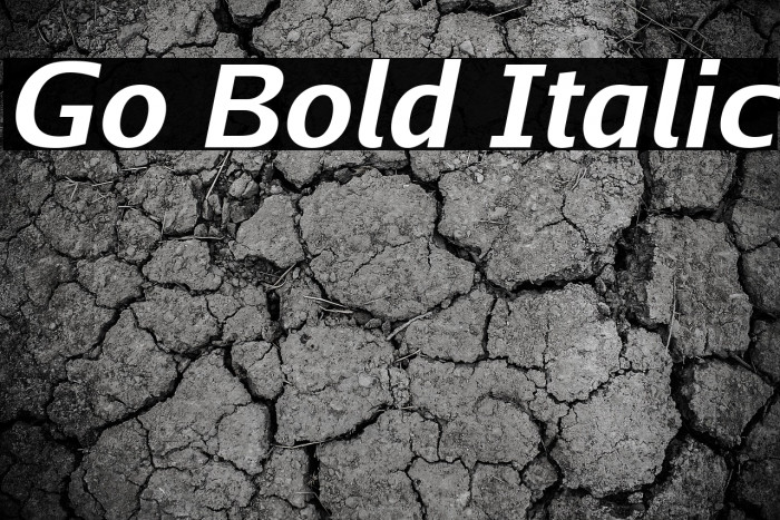 Go Bold Italic Example 1