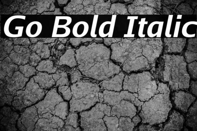 Go Bold Italic Font examples