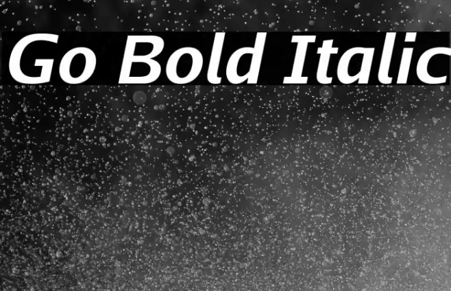 Go Bold Italic Font examples