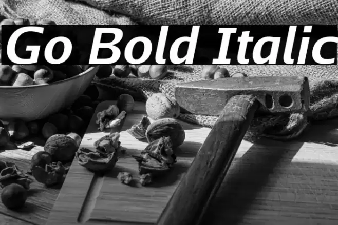 Go Bold Italic Font examples