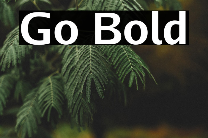 Go Bold Example 2