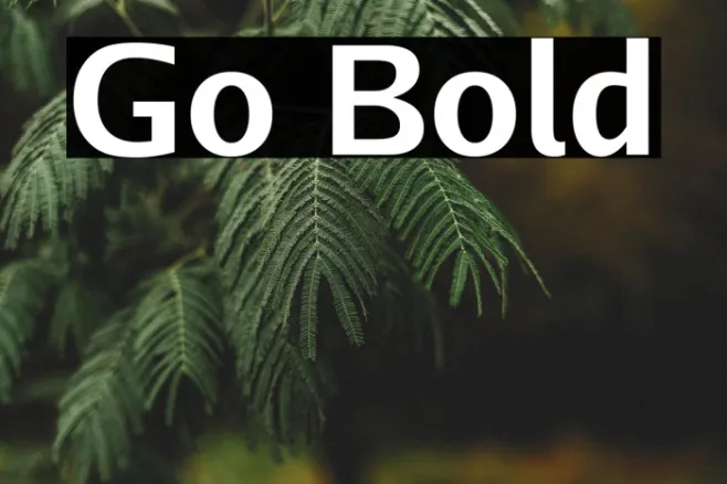 Go Bold Example 2