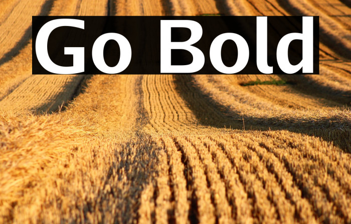 Go Bold Example 3