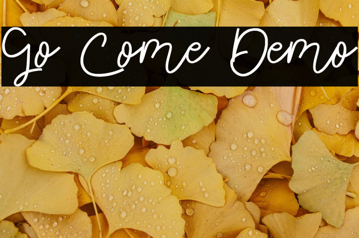 Go Come Demo Example 1