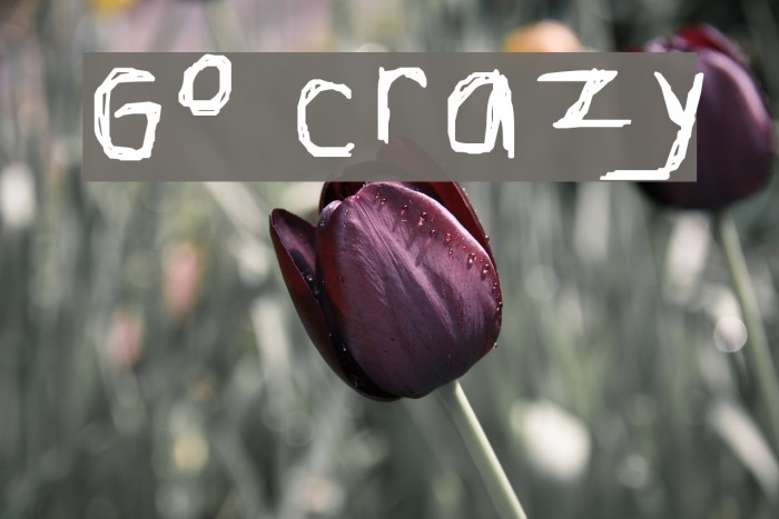 Go Crazy Font examples