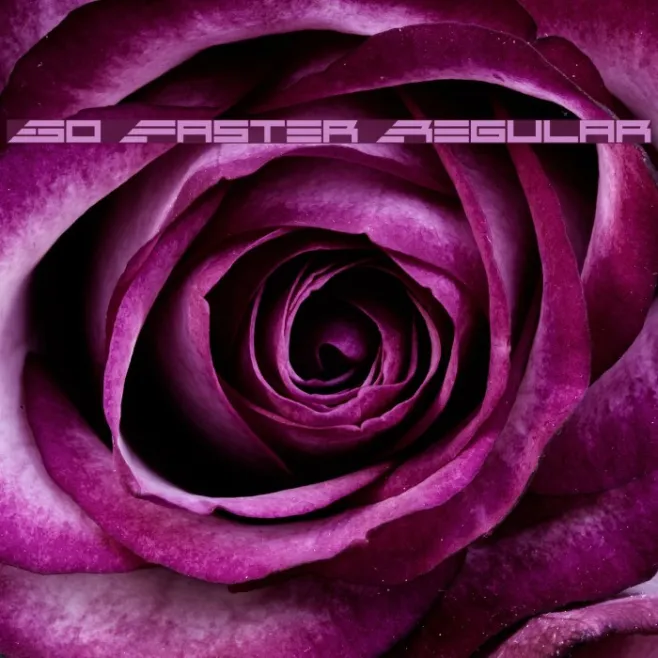 Go Faster Regular Example 1