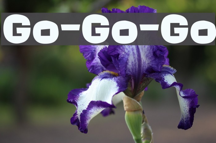 Go-Go-Go Font examples