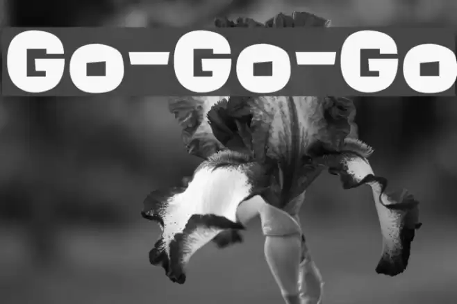 Go-Go-Go Schriftart examples