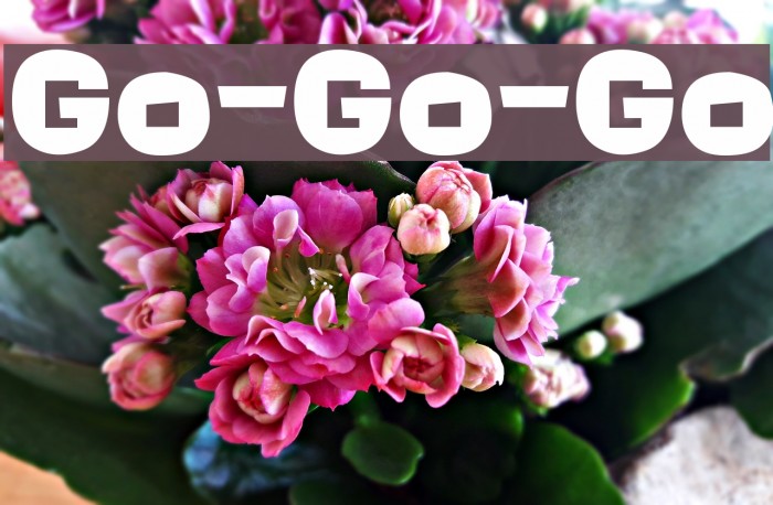 Go-Go-Go Font examples