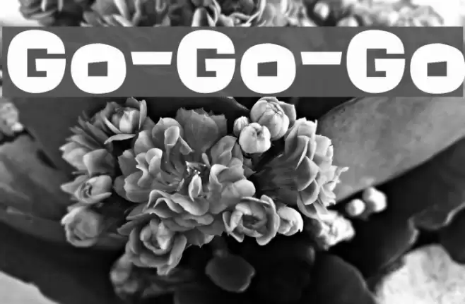Go-Go-Go Schriftart examples