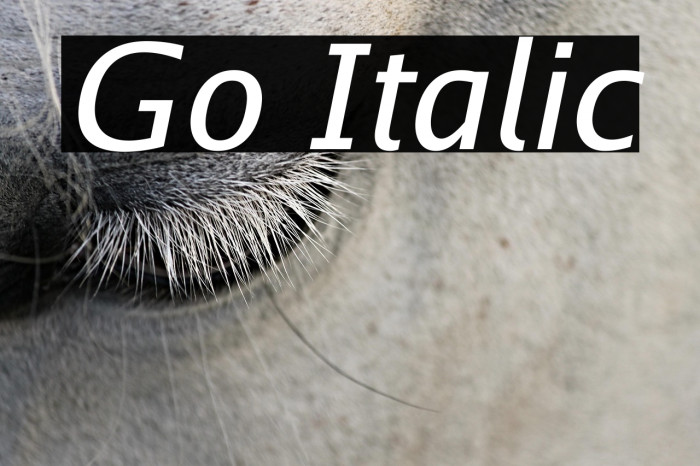 Go Italic Example 1