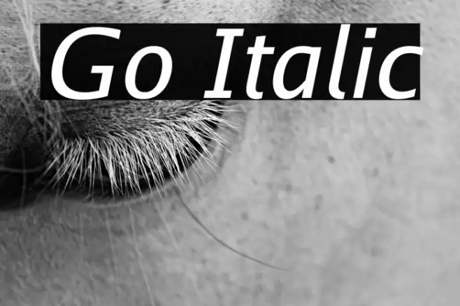 Go Italic Font examples