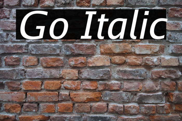 Go Italic Example 2