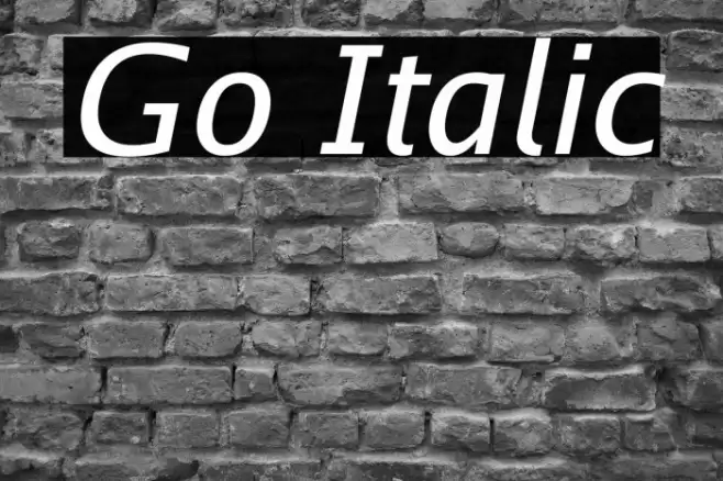 Go Italic Font examples