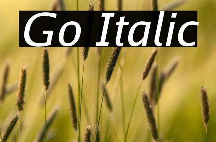 Go Italic Example 3