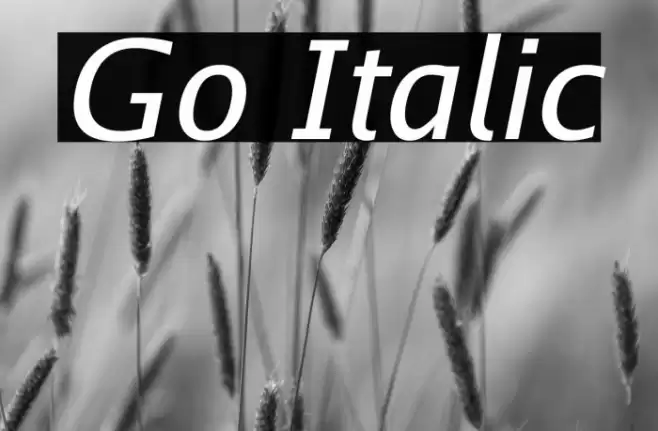 Go Italic Font examples