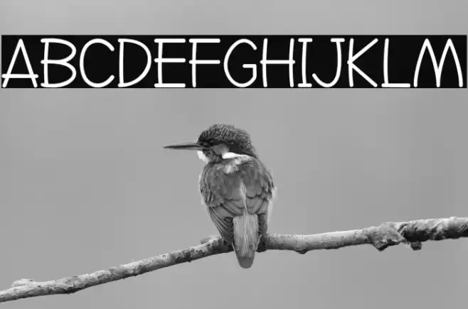 Go Jackie Caratteri examples