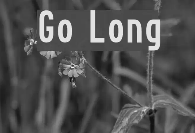 Go Long Fonte examples