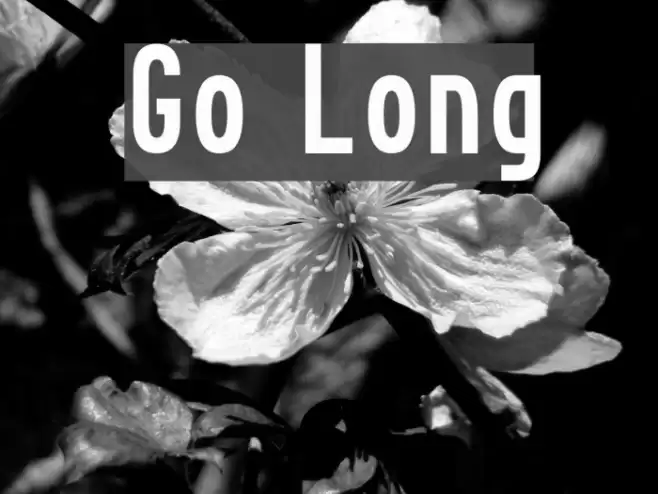 Go Long Fonte examples