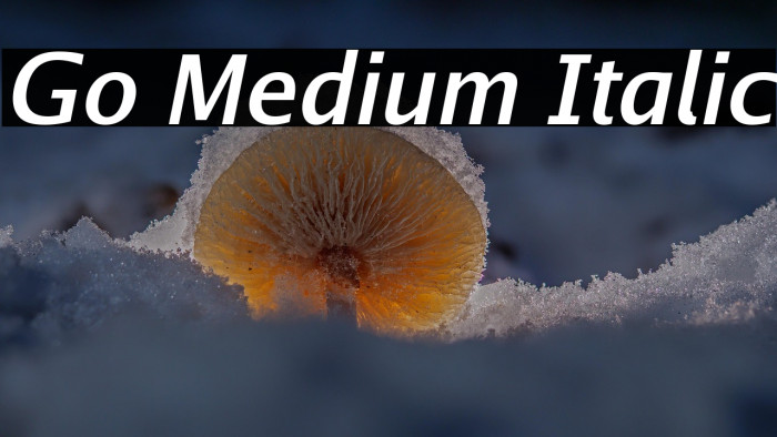 Go Medium Italic Example 1