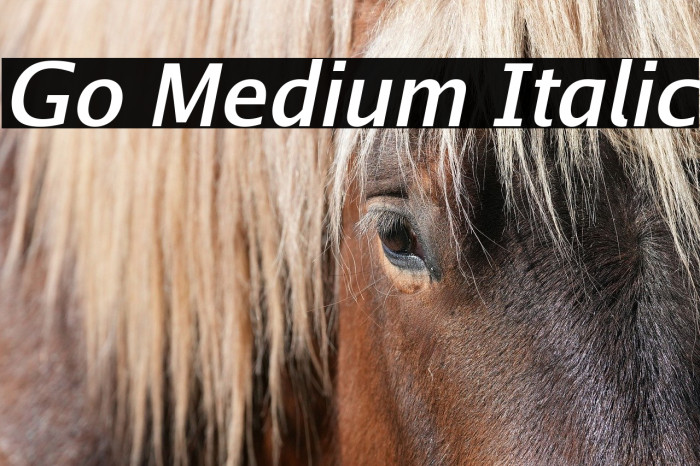 Go Medium Italic Example 2
