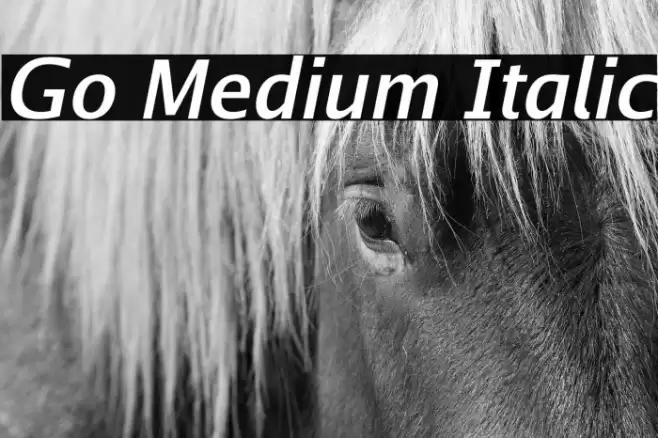 Go Medium Italic Font examples