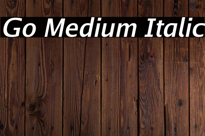 Go Medium Italic Example 3
