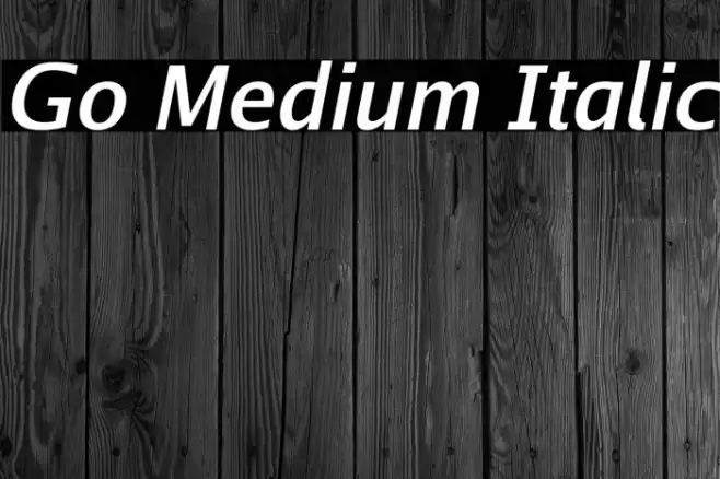 Go Medium Italic Font examples