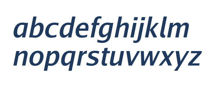 Go Medium Italic Lowercase