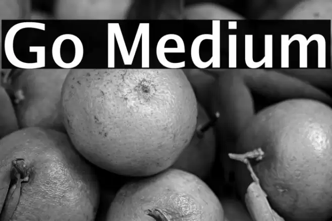Go Medium Font examples