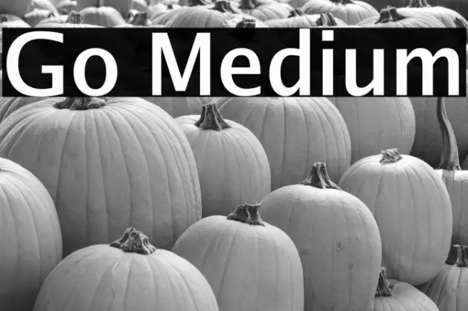 Go Medium Font examples