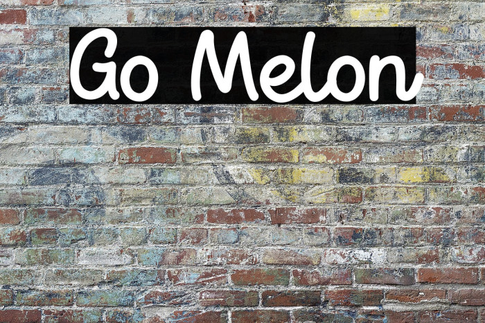 Go Melon Example 1