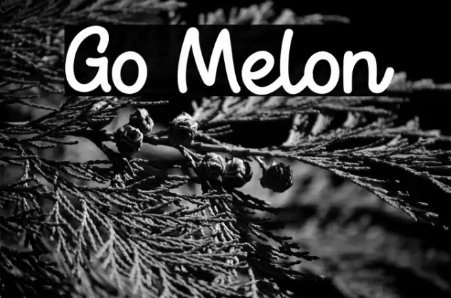 Go Melon Font examples