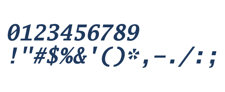 Go Mono Bold Italic Other Characters