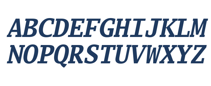 Go Mono Bold Italic Uppercase