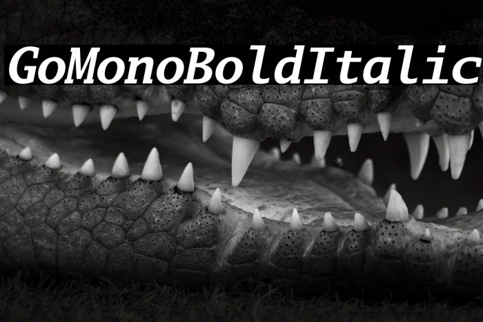 Go Mono Bold Italic Example 1