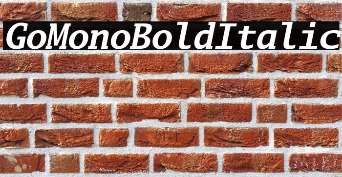 Go Mono Bold Italic Example 2